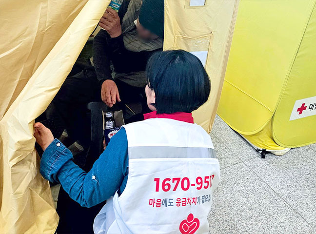 RC 국내 리포트