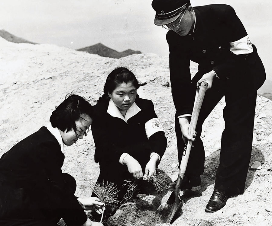 RCY의 시작인 천마산 식목행사(1953년) RCY의 시작인 천마산 식목행사(1953년)